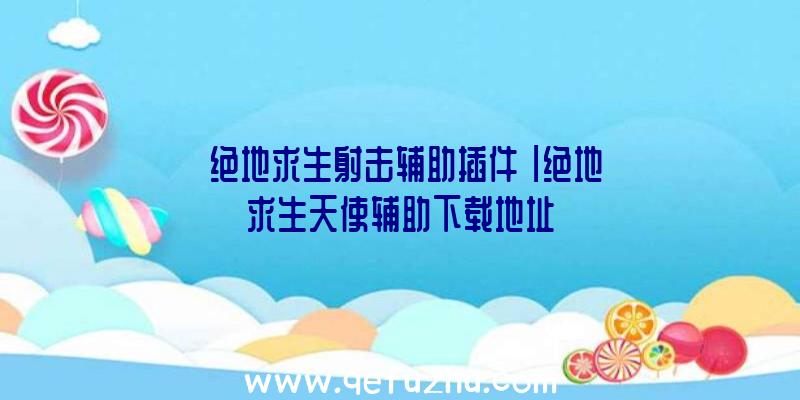 「绝地求生射击辅助插件」|绝地求生天使辅助下载地址